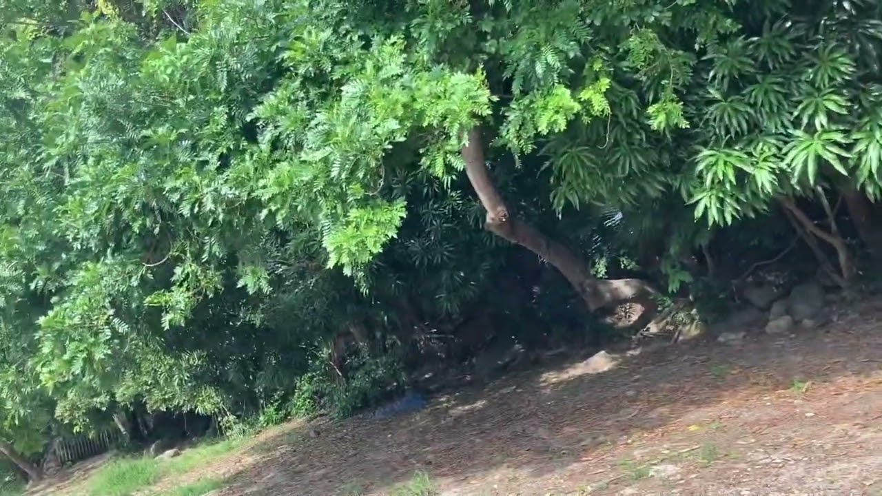 Santa Rosa Guachipilin, santa Ana El Salvador
