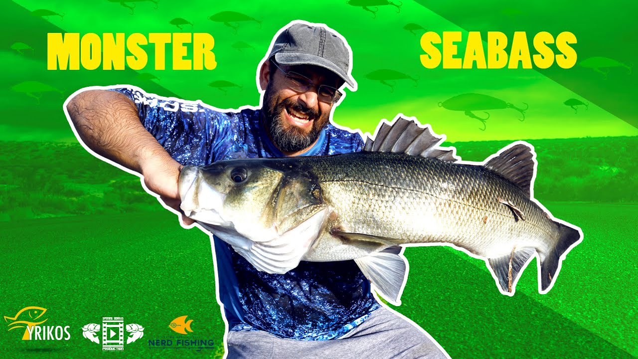 Λαβράκι ΤΕΡΑΣ - Monster Seabass - HRF.