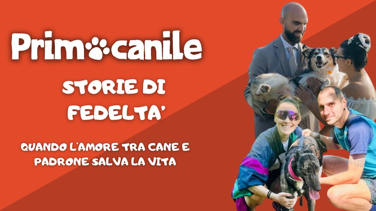 Primocanile - Quando l'amore tra cane e padrone salva la vita