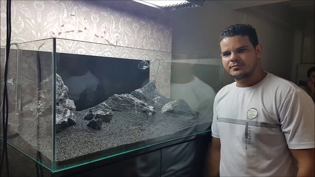 Montagem de Aquário Plantado para iniciantes 1ª parte Hardscape