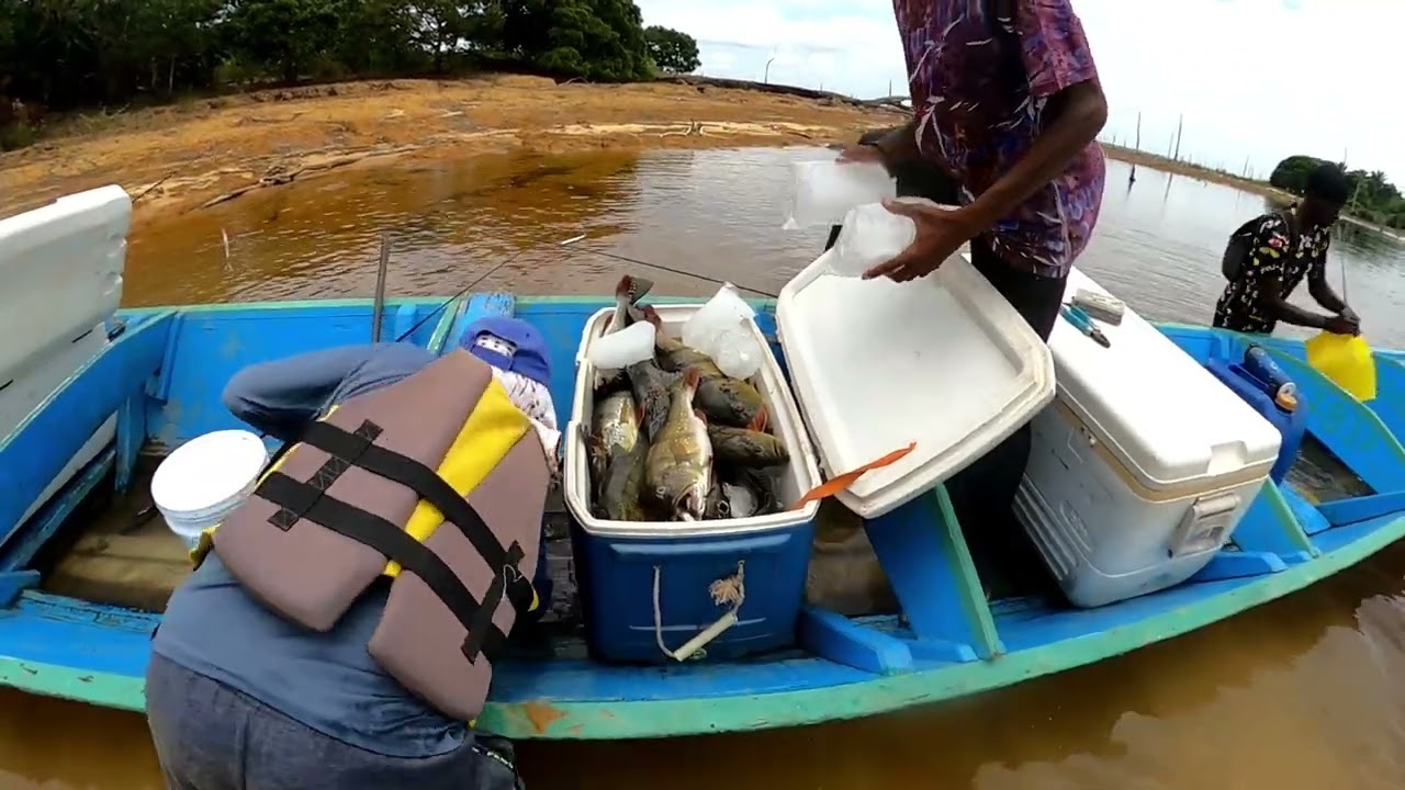 My Next Bakaaboto Tukunari trip 🐟