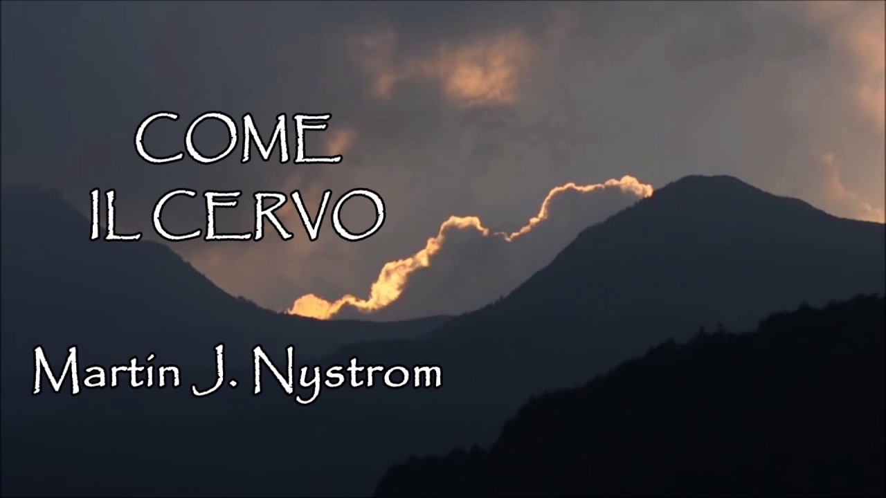 COME IL CERVO (
