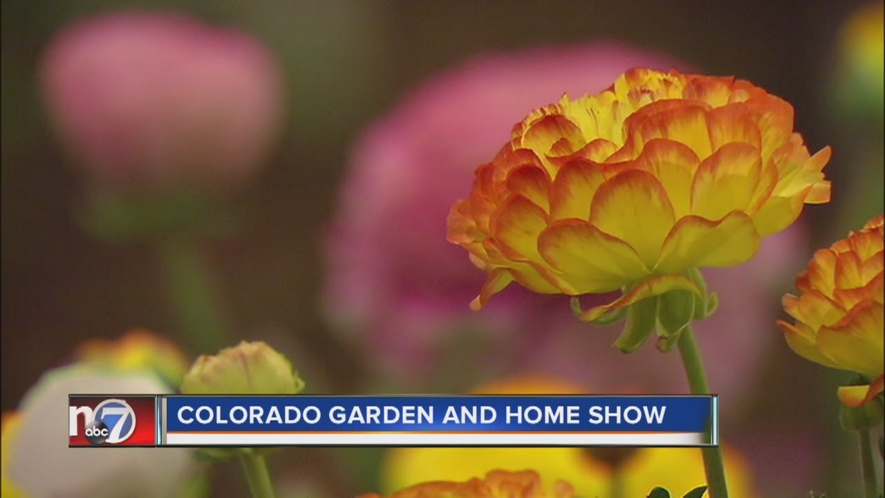 Colorado Garden and Home Show