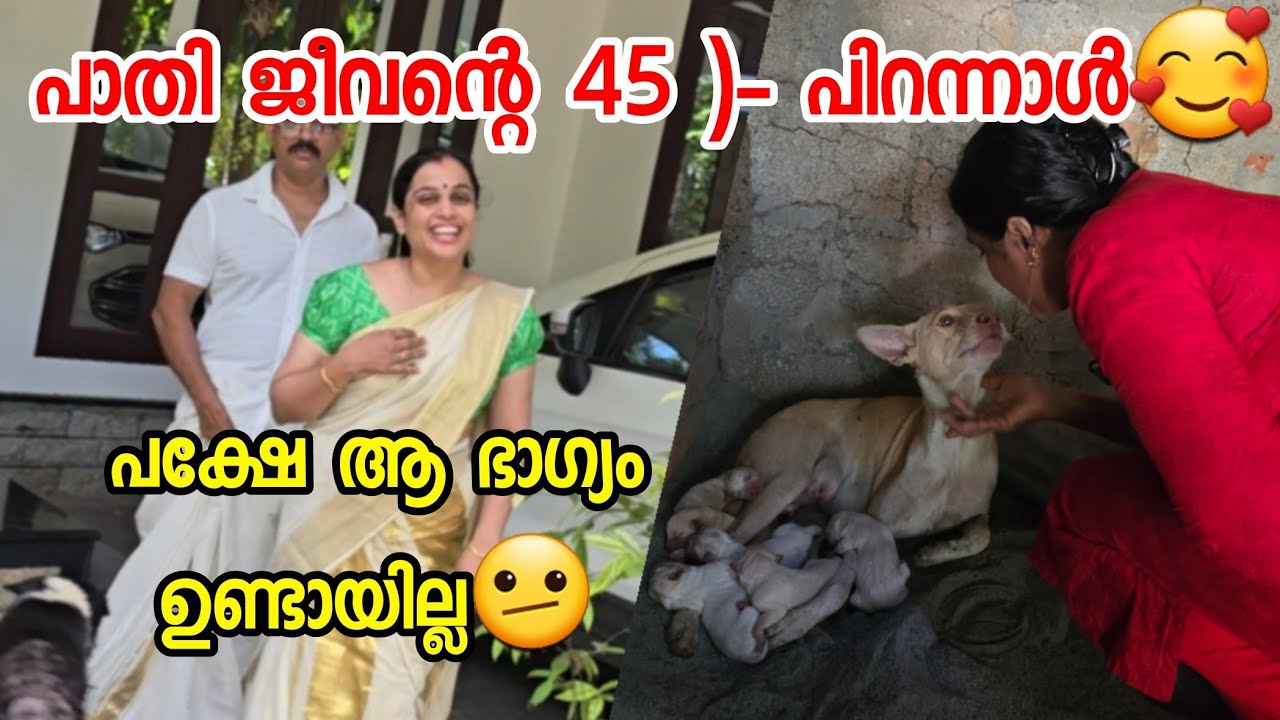 പേർളി പ്രസവിച്ചു 🥰 | Pregnancy Story🫂 | ആകാംക്ഷ നിറഞ്ഞ പിറന്നാൾ ദിനവും