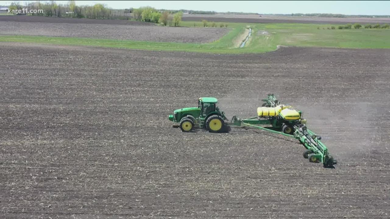 Crop costs: How they could impact farmers and the economy