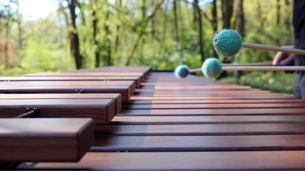 Leonard Cohen - Hallelujah - Marimba Cover (quarantine)