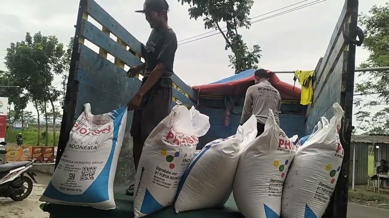 Pengiriman pupuk yang ke-4 KDMP BODANG