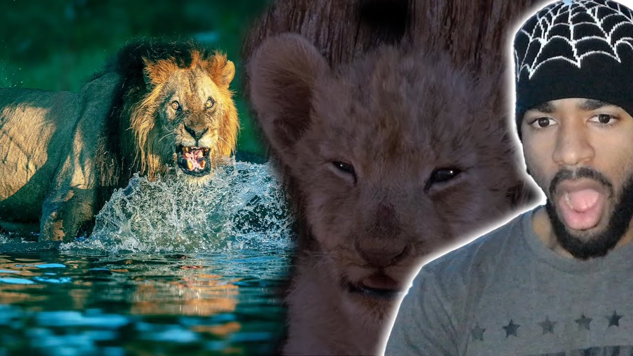 How To Become King | Casual Geographic - From Cub to King: A Lion's Survival Guide (ft. TierZoo)