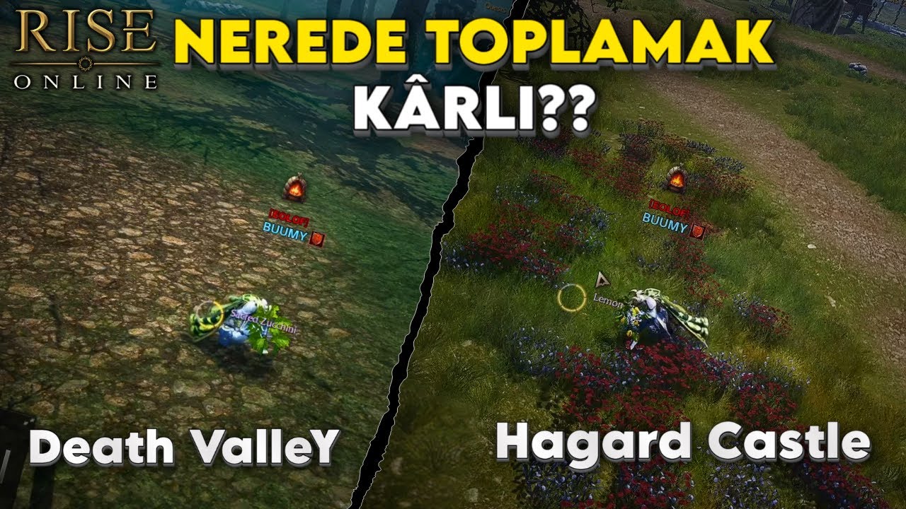EN KARLI TOPLAYICILIK: HAGARD MI, DEATH VALLEY Mİ? / RİSE ONLİNE WORLD