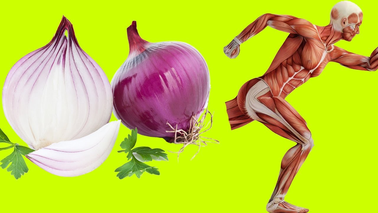 Porque si comes cebollas todos los días le pasa esto a tu cuerpo