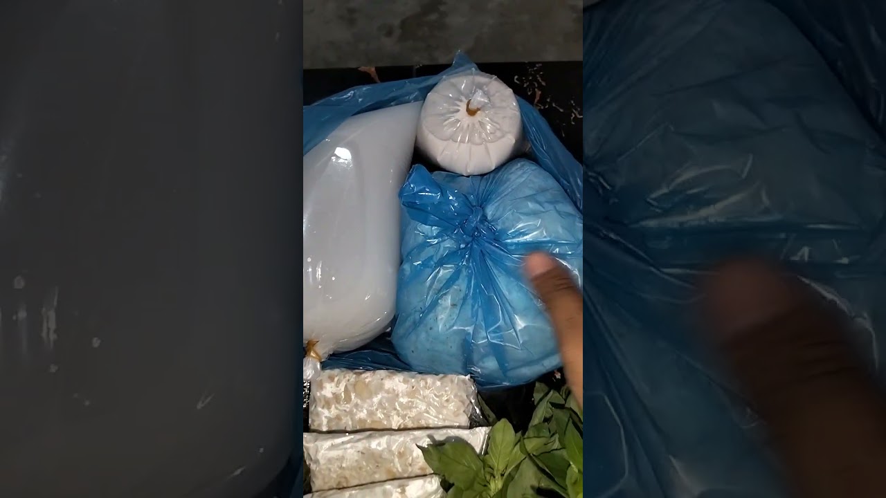 Keluarga Arfa episode 6 ( belanjo untuk satu bulan )