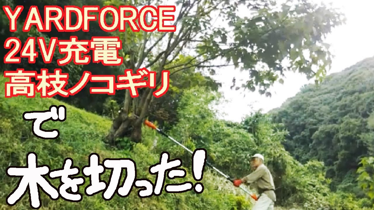 YARDFORCE 24V 充電 高枝ノコギリで、木をバッサリ切った　【古民家　山暮らし】