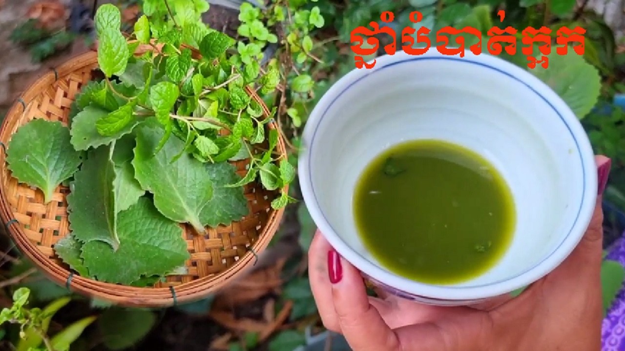 វិធីធ្វើថ្នាំបំបាត់ក្អកយ៉ាងឆាប់រហ័សរូបមន្តធម្មជាតិ [Fast cough medicine, natural recipe]