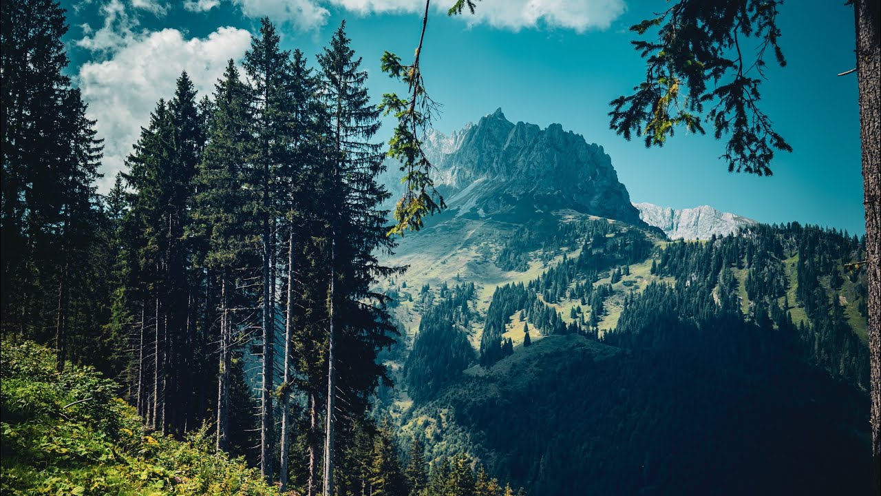 Österreich - Salzburger Land - August 2025