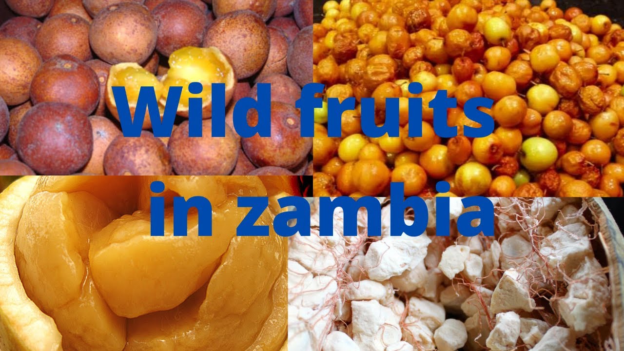 Wild fruits in Zambian language