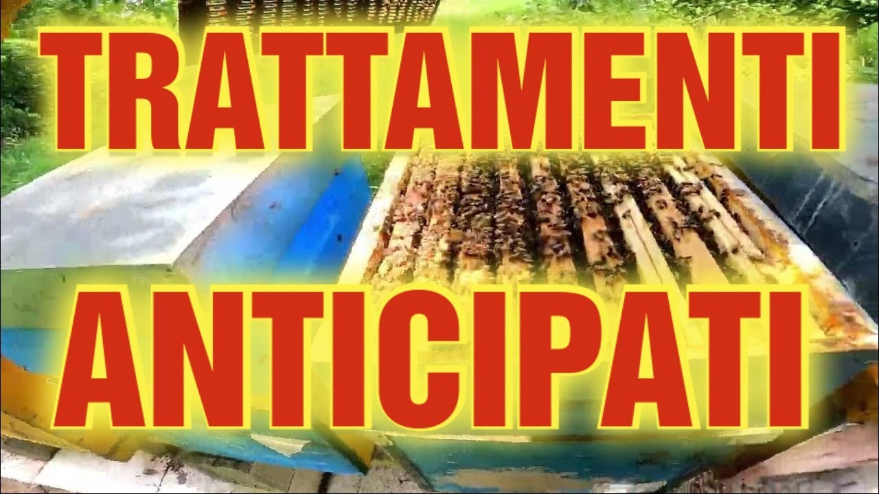 Apicoltura CD: Alta infestazione, prepariamo l'apiario al trattamento. Il Tiglio ha reso bene!