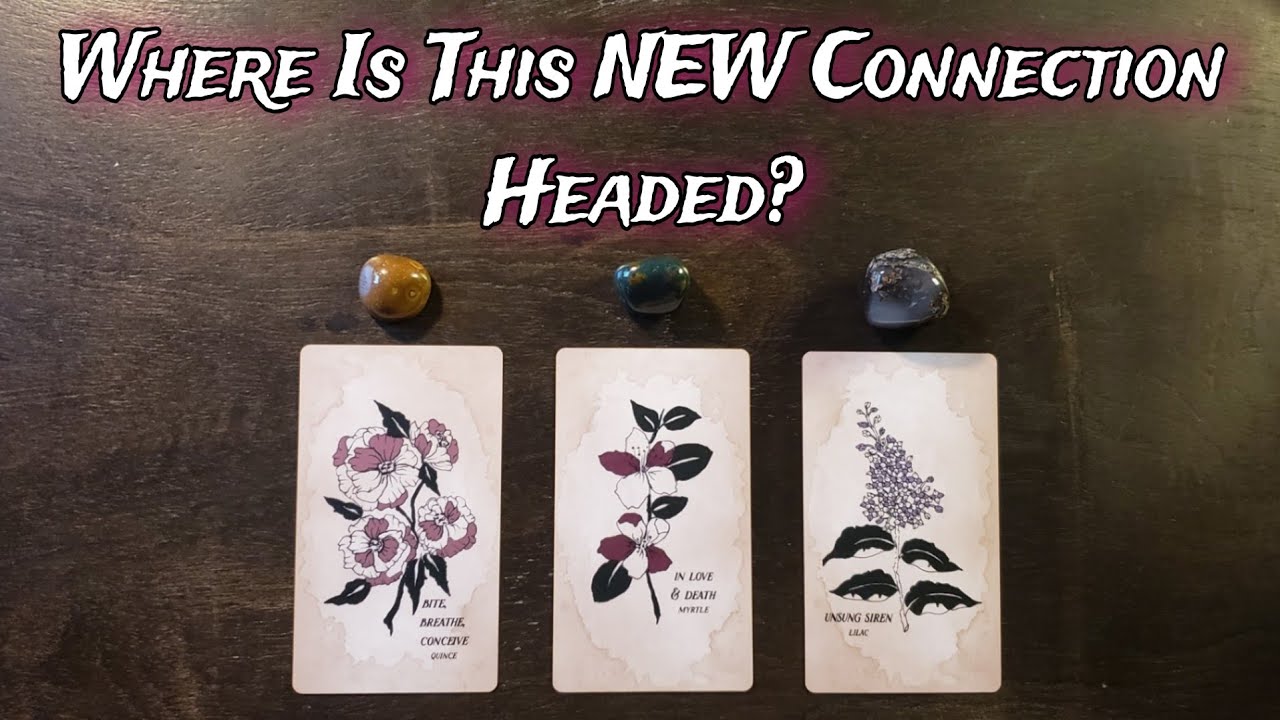 🥀💋 Where Is This NEW CONNECTION Headed? 🥀💋  Pick A Card Love Reading