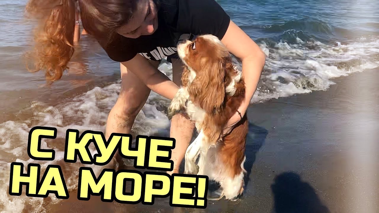 С КУЧЕ НА МОРЕ ЗА ТРЕТИ ПЪТ! || МОРСКИ ПРЕЖИВЯВАНИЯ 2020 - ЧАСТ 2