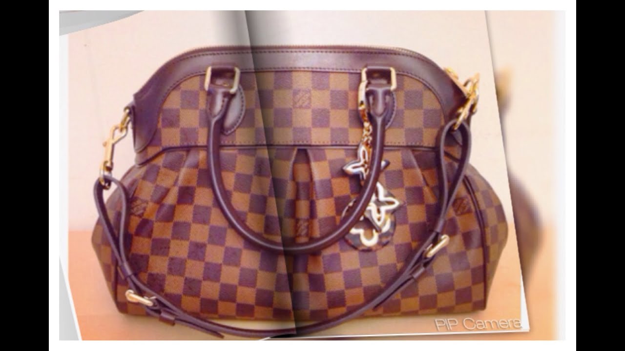 Louis Vuitton Trevi PM in Damier Ebene