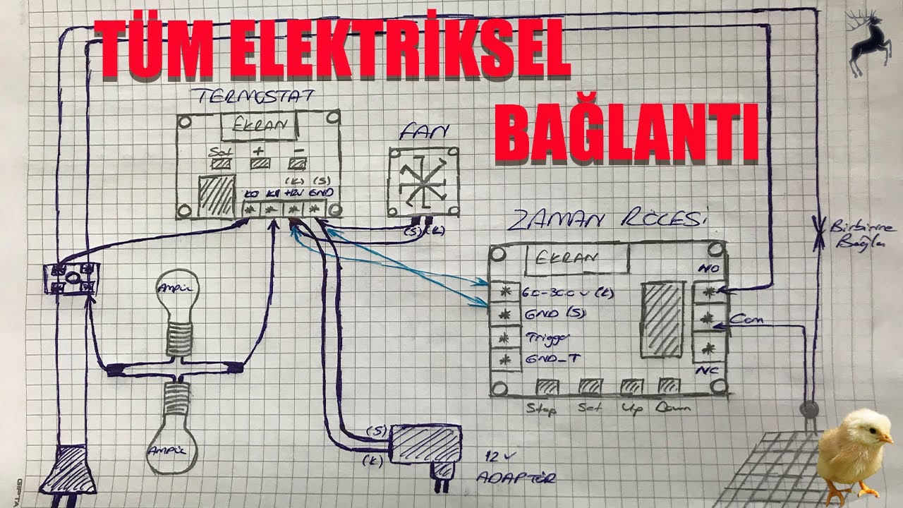 Kuluçka Makinesinin Tüm Bağlantılarını Yapıyoruz!