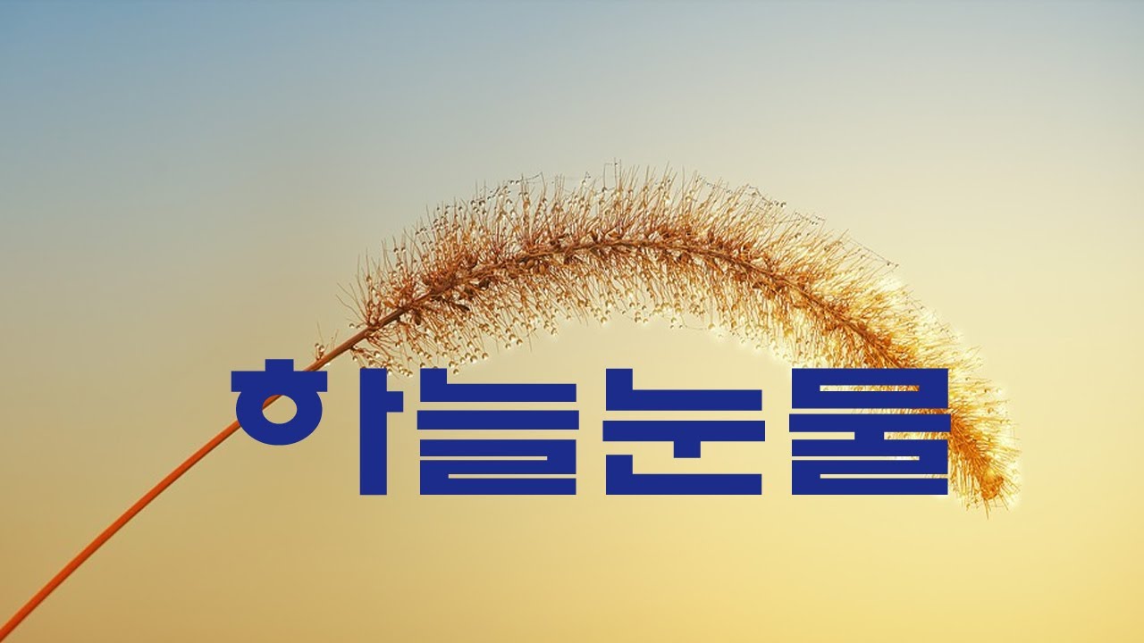 가요,  박태원 - 하늘눈물,  반복듣기,  7080, 국내가요, 한국가요, KPOP
