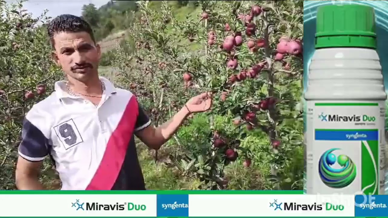 Growers only one solution for best results MiravisDuo adepidyn technology and New chemistry