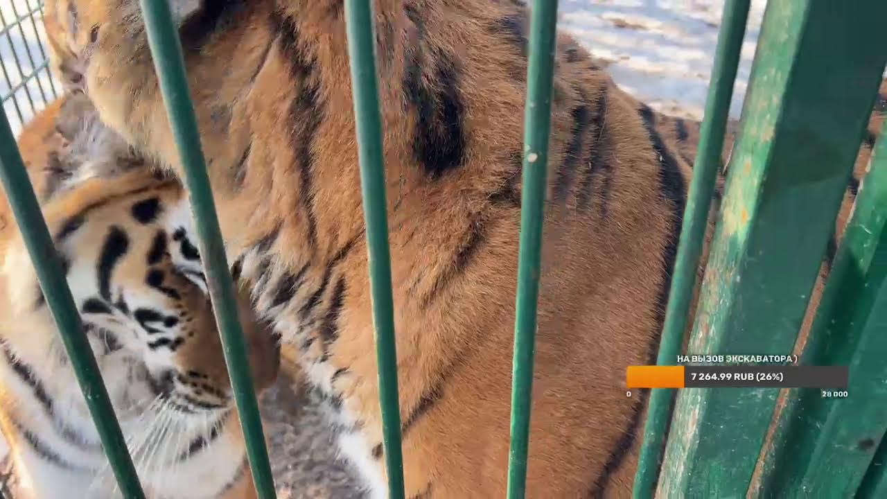 Мы вышли на связь