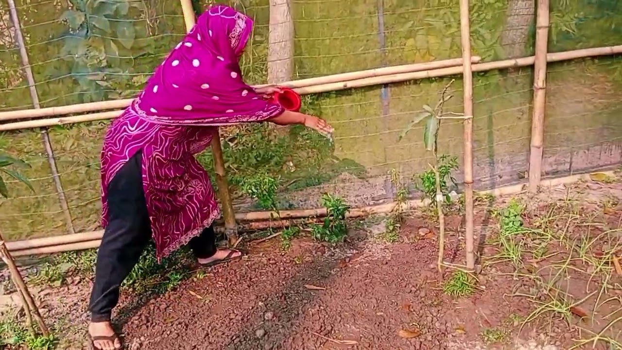 গ্রামের মেয়েরা সব কাজে বাড়ে গ্রাম বলতে অনেক গর্ব হয় #farming #santanarrannaghar #musiccover 