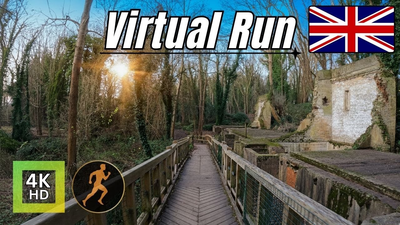 Virtual Run 4k Treadmill Scenery. English Forest Sunrise.