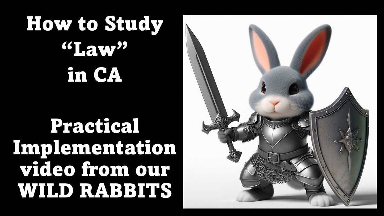 How to study Law in CA inter Wild rabbit training Nov 2024 batch