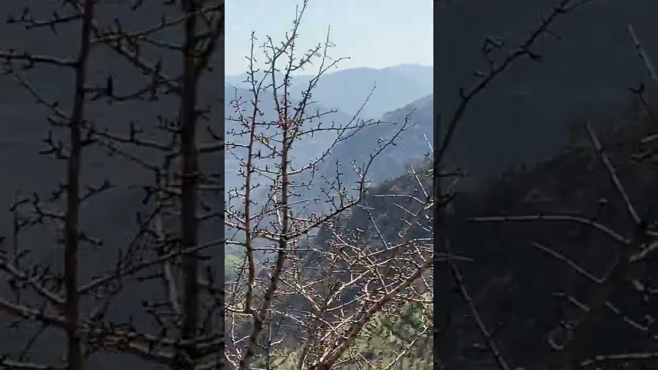 Doğadan
