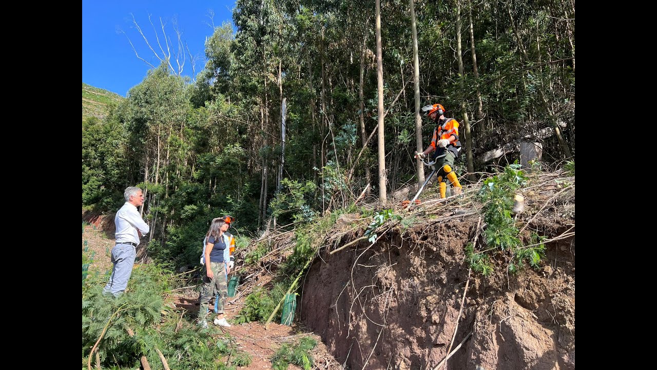 Primeira equipa de Sapadores Florestais nas serras da Madeira
