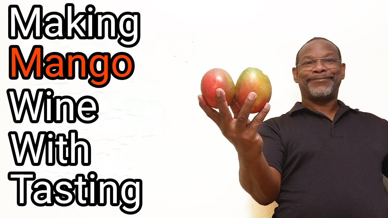 Making Mango Wine 13.3% ABV