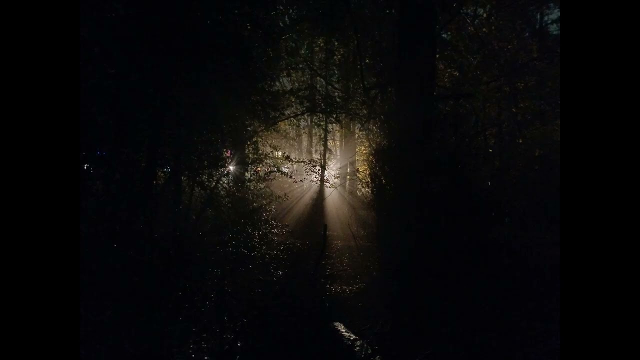 Random 35 Tracks Tape - Restore - Boards of Canada.