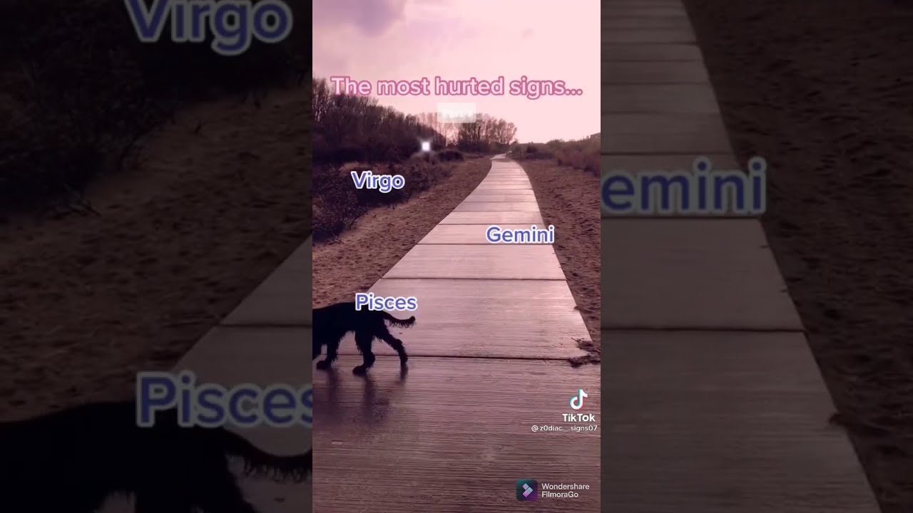 Sad zodiac tiktoks
