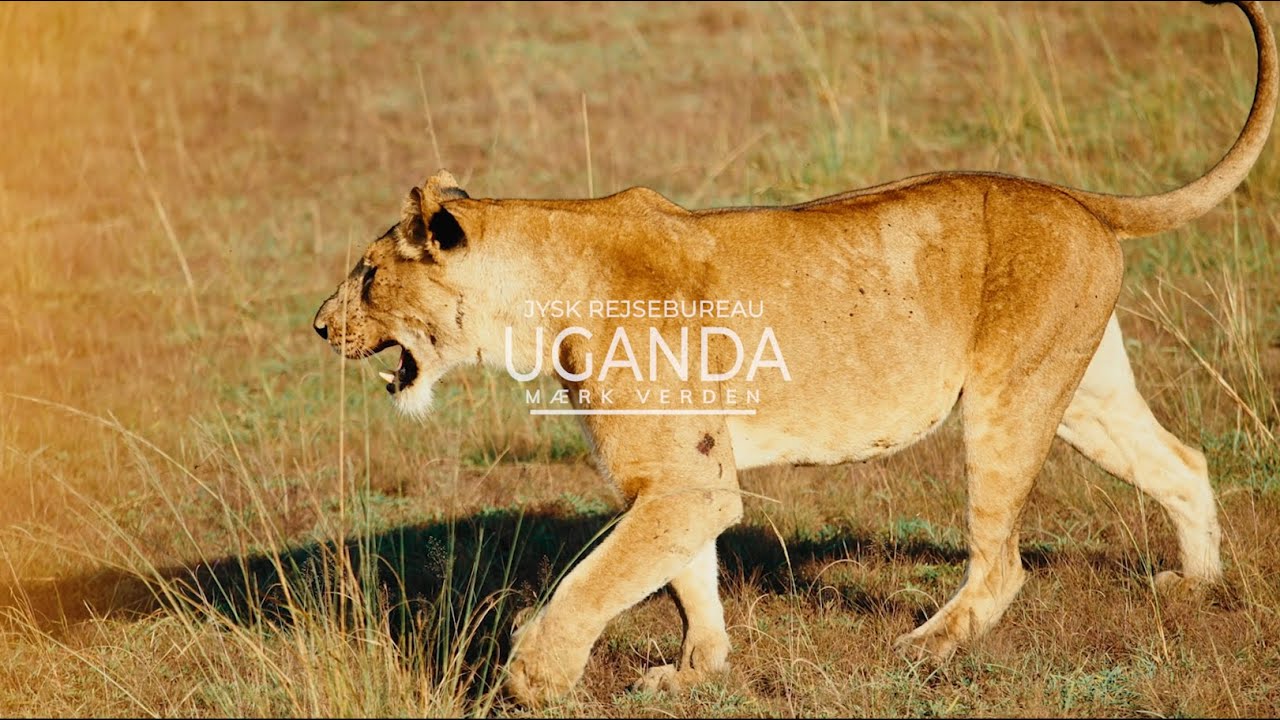 Uganda | Jysk Rejsebureau