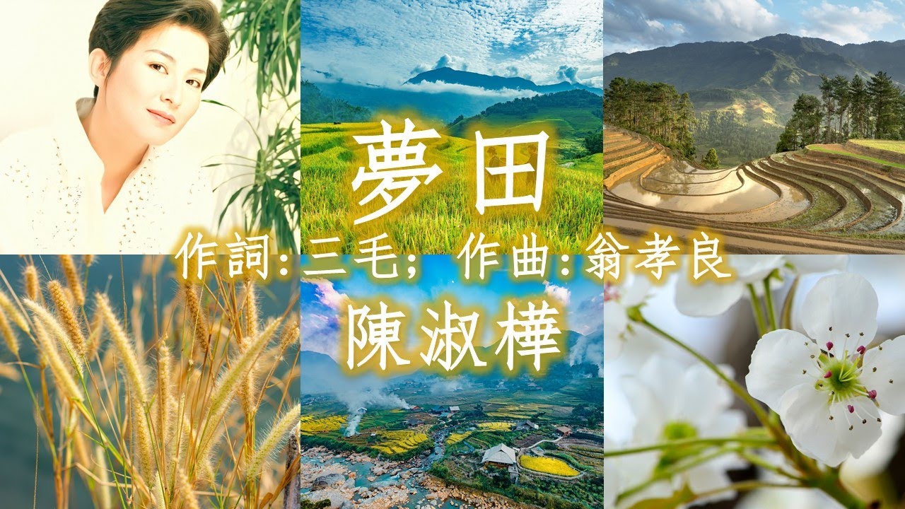陳淑樺 - 夢田；作詞:三毛; 作曲:翁孝良 (HDCD)