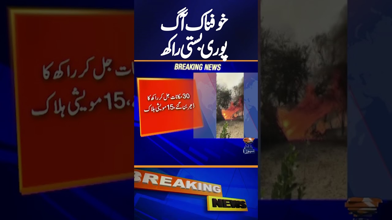 Massive Fire Destroys Entire Village in Tharparkar &ndash; Shocking Scenes