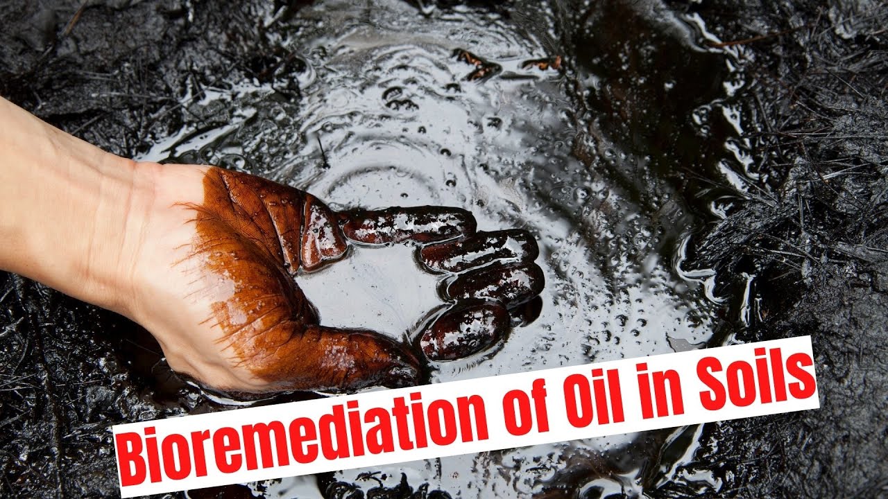 What is Bioremediation? Exxon Valdez Oil Spill Cleanup