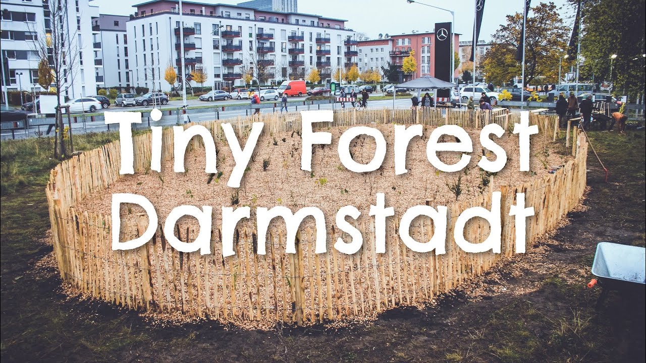 Tiny Forest Darmstadt mit MIYA e.V.