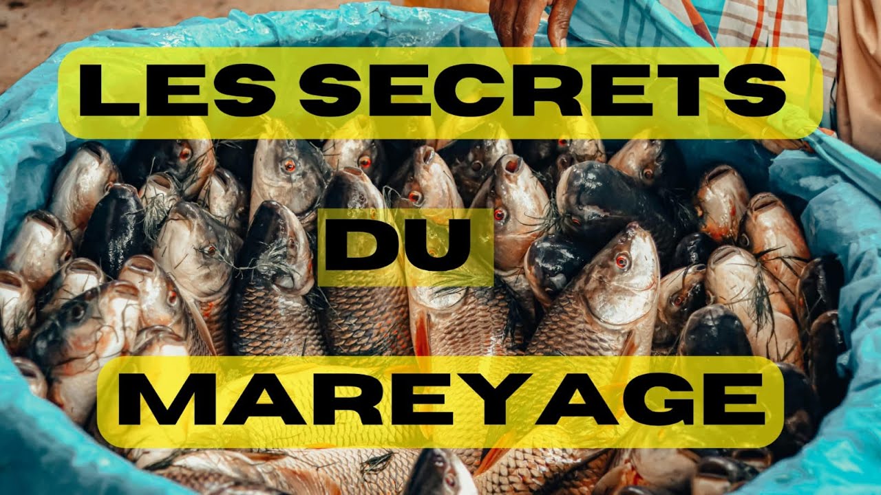 Business du Poisson