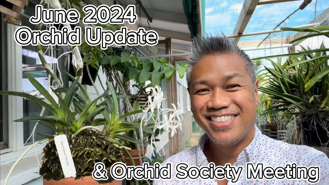 June 2024 Orchid Update & Orchid Society Meeting