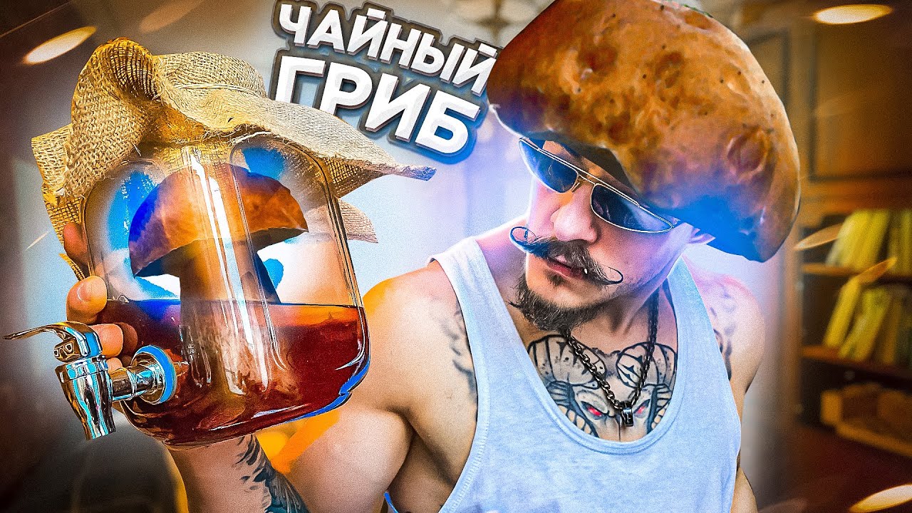 ЗАВЁЛ ЧАЙНЫЙ ГРИБ
