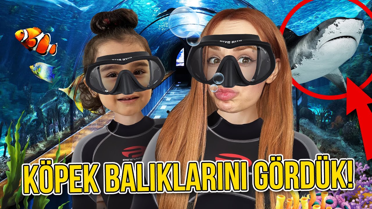 Akvaryum Tünelinde Dev Köpek Balıklarını Gördük !? @GamzeKarta