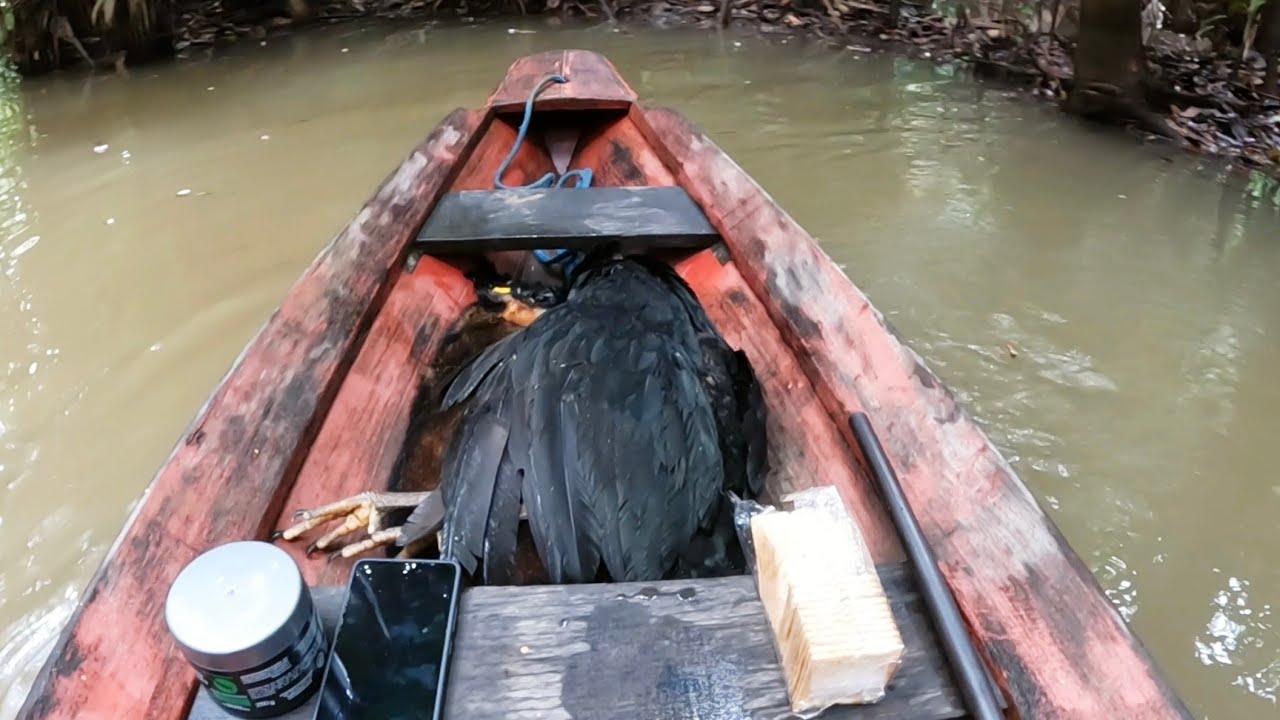 Saí cedo atrás dos porcos e fiz dois abates tops, vejam! 