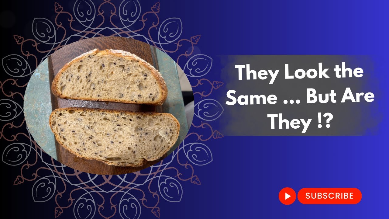 Does Slow Fermentation Really Make Bread Healthier