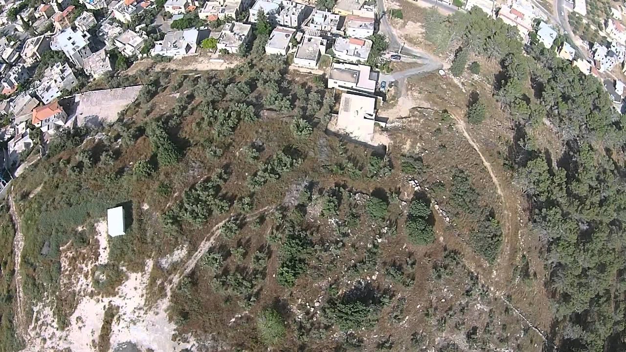 عاره - عرعره