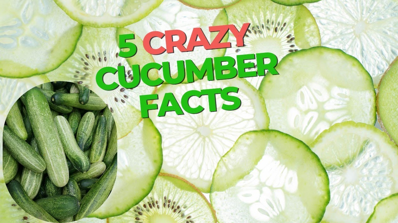 The Cucumber Secret Every Gardener Needs to Know!