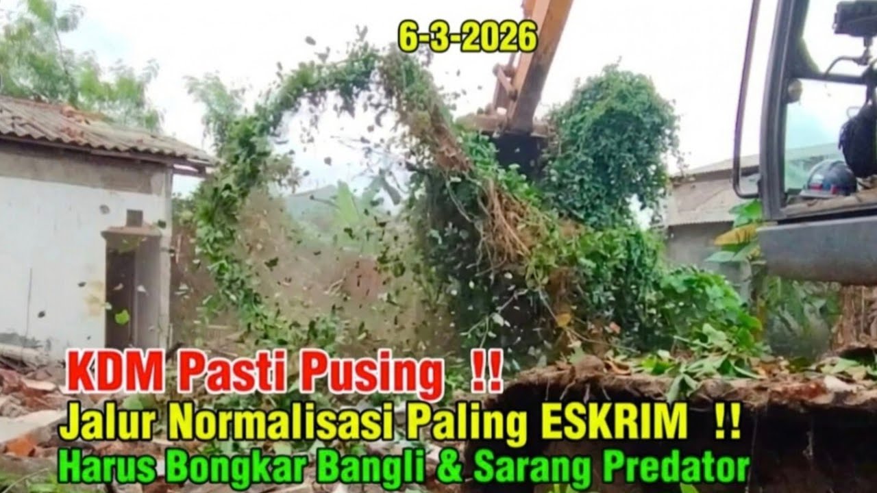 KDM BISA PANIK, JALUR NORMALISASI KALI PALING EKTRIM‼️ Bongkar Bangli Dan Sarang Predator