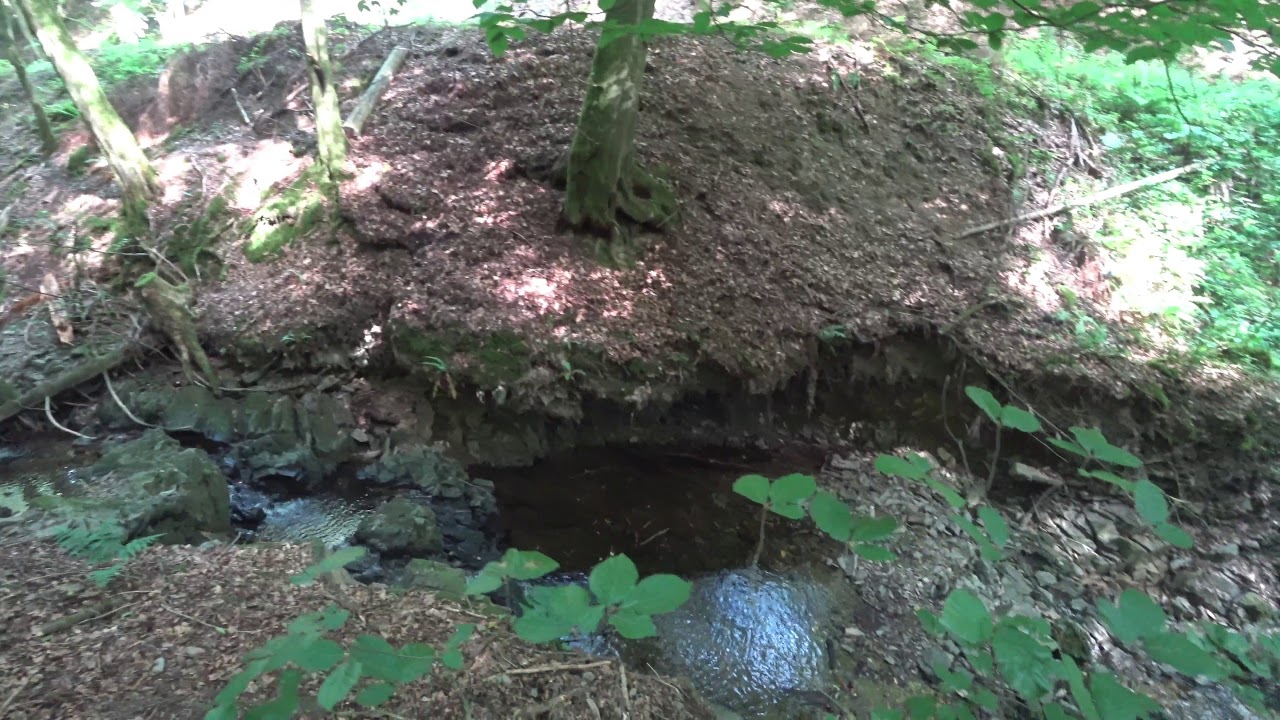 Traumpfad Saynsteig wandern  Jetzt in 4k!